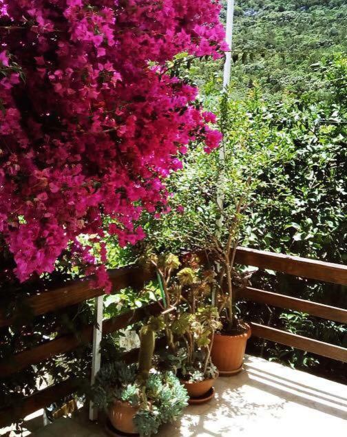 Faros Oasis Apartment Gdinj Bagian luar foto